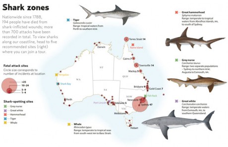 Zony útoku žraloků